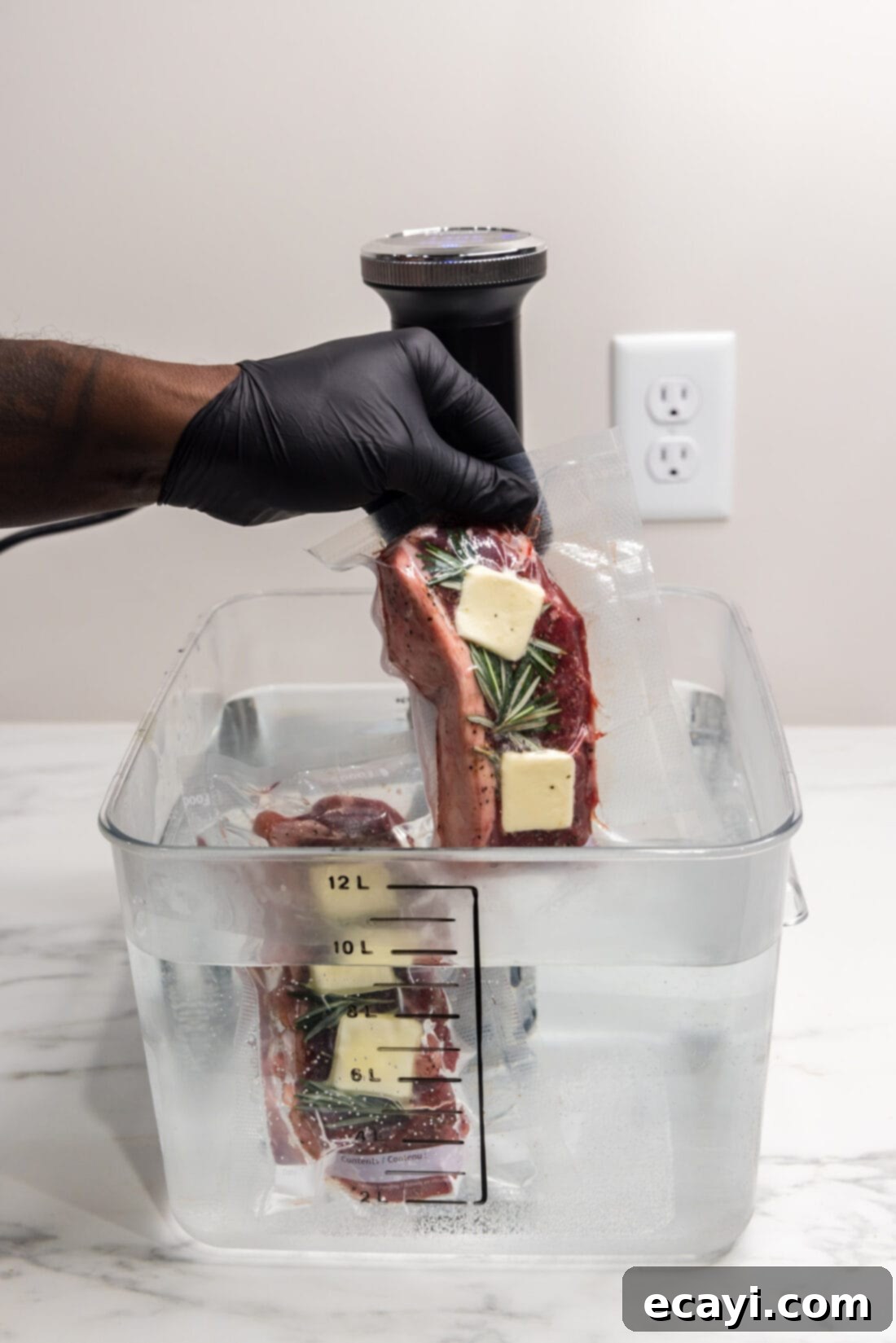 Perfect Sous Vide Steak 3 Sous Vide Steak being carefully placed into the preheated water bath for cooking.