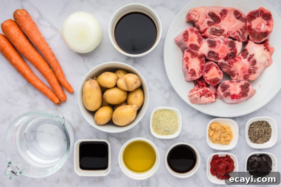 Instant Pot Fall-Off-The-Bone Oxtail 4 Ingredients for Instant Pot Oxtail