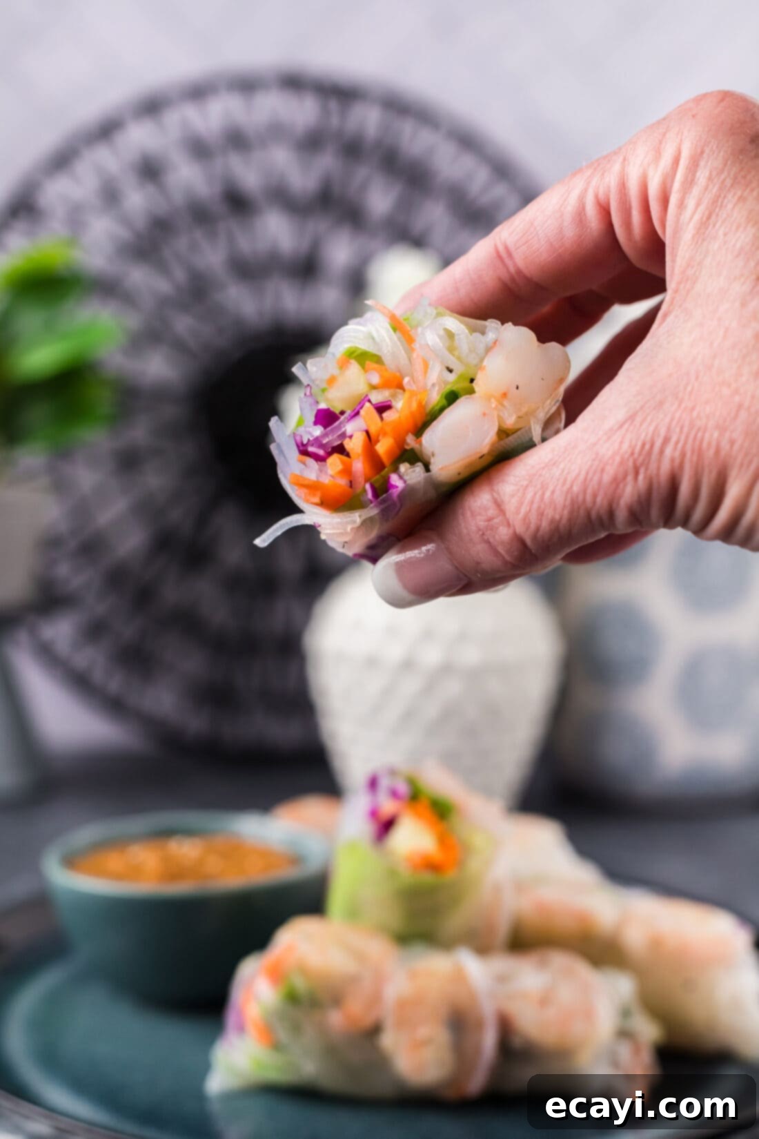 Hand-Rolled Shrimp Delights 13 Hand holding half a Shrimp Spring Roll, showing the interior layers of shrimp, noodles, and vegetables.