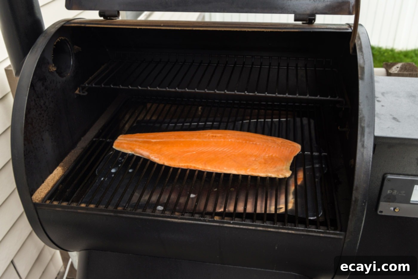 Artisan Smoked Trout 7 Trout fillet placed skin side down on smoker grill grates.