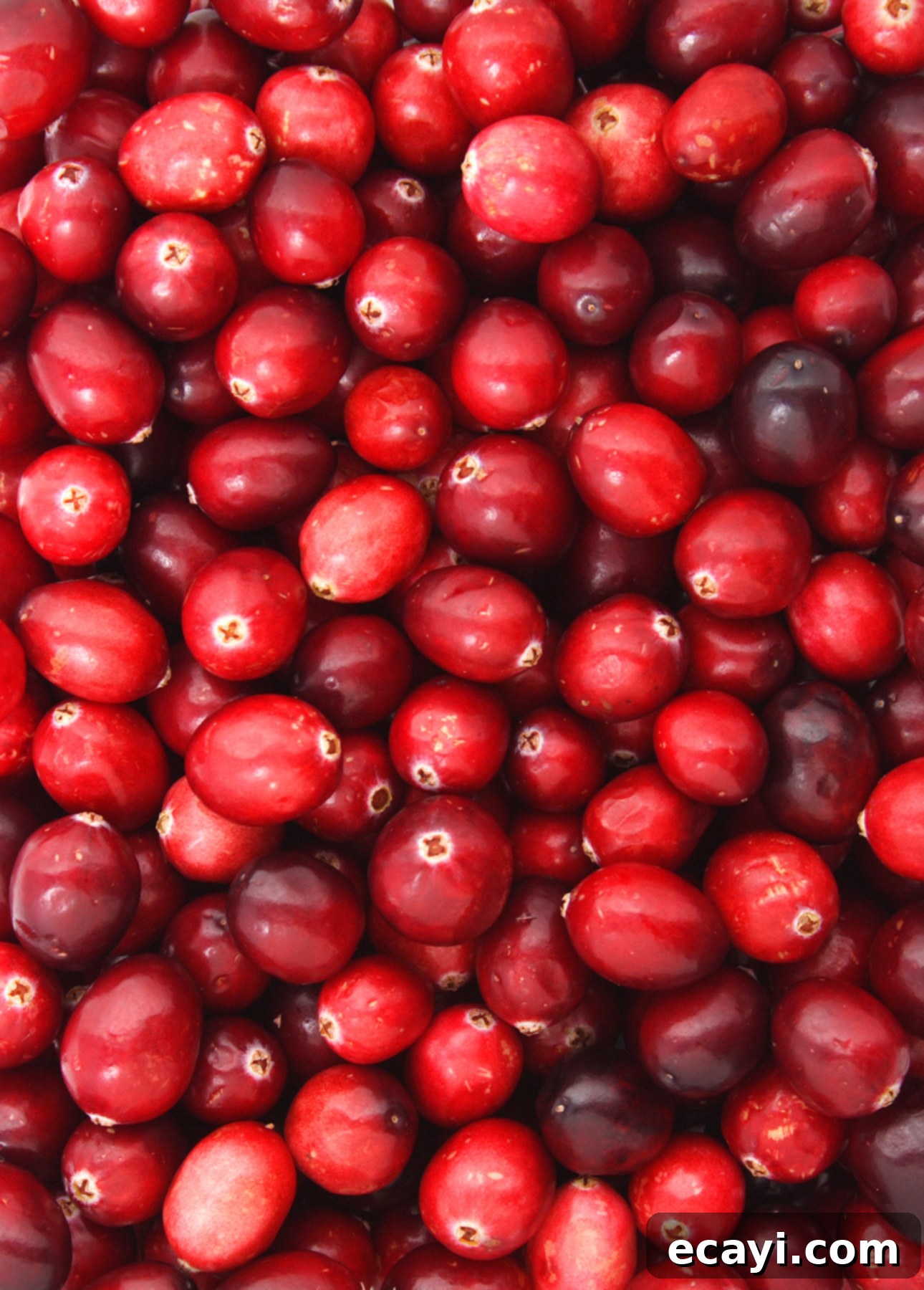 35 Cranberry Desserts to Make Your Holiday Table Sparkle, From Morning to Night 3 Fresh cranberries // FoodNouveau.com