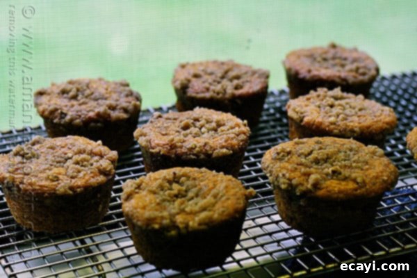 Cozy Pumpkin Mini Cakes with Cinnamon Streusel 16 A close up photo of pumpkin mini cakes with cinnamon streusel topping on a cooling rack.