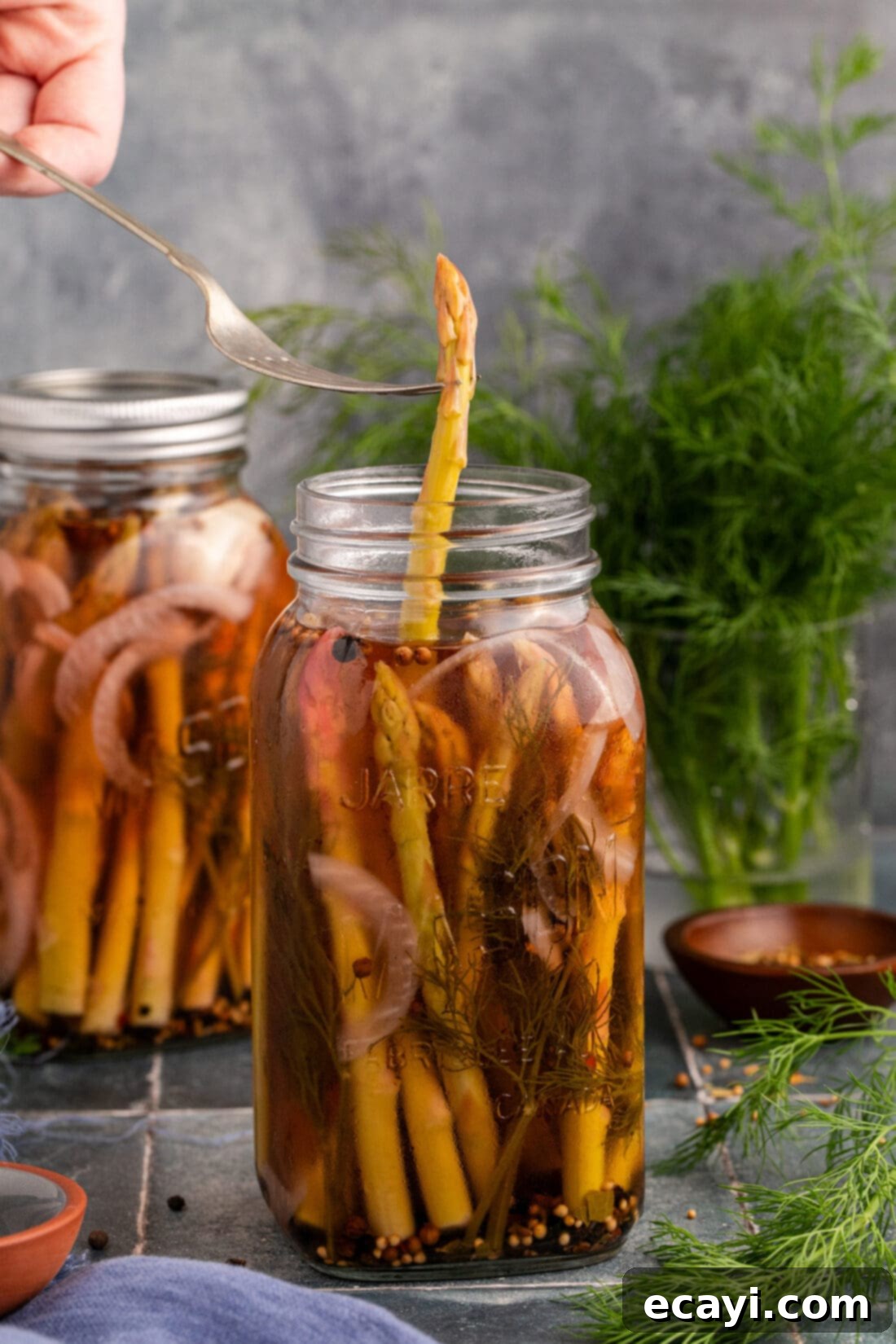 Tangy Asparagus Spears 6 Piece of Pickled Asparagus being lifted out of the jar by a fork