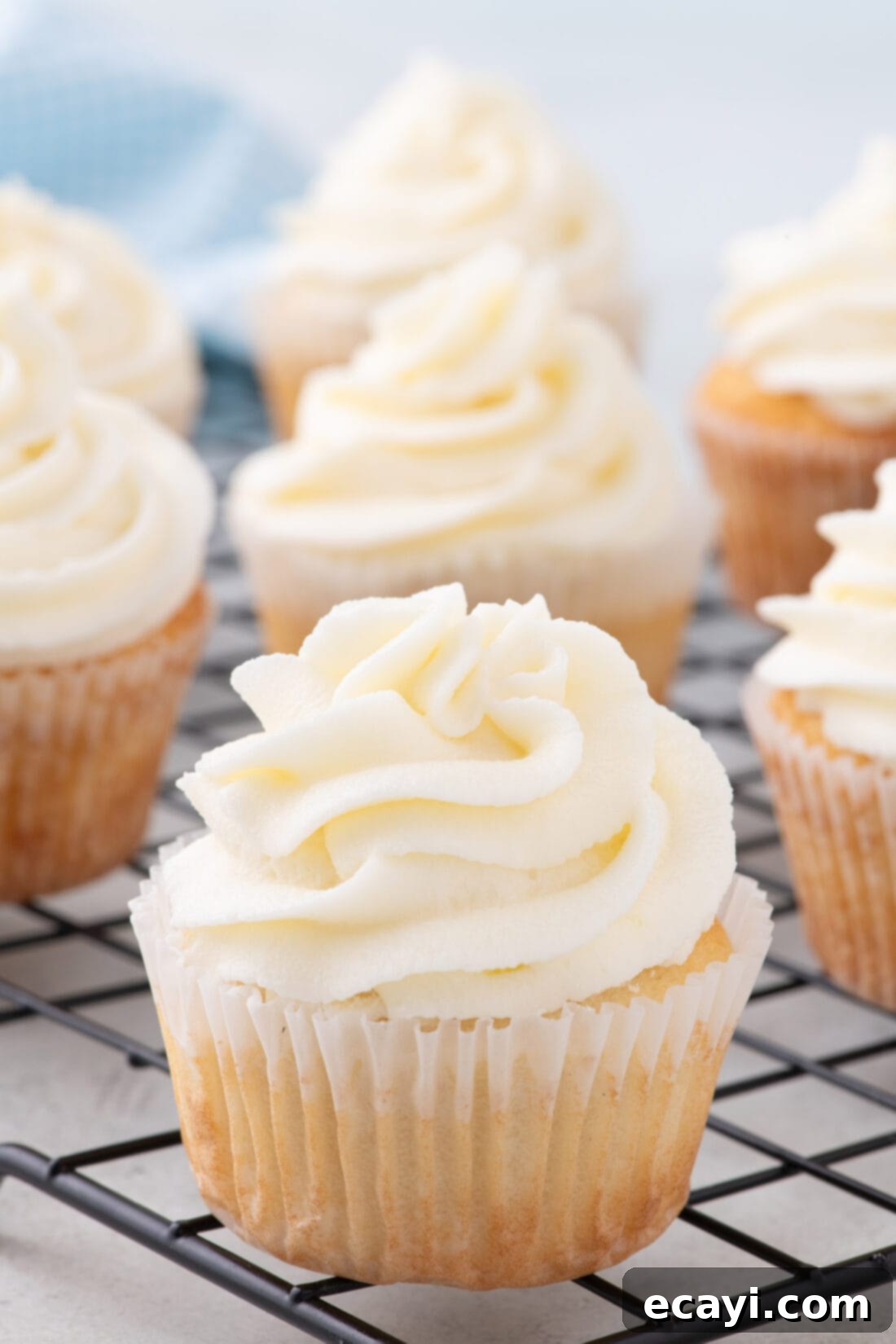 Vanilla Cupcakes 2 Freshly baked vanilla cupcakes cooling on a wire rack