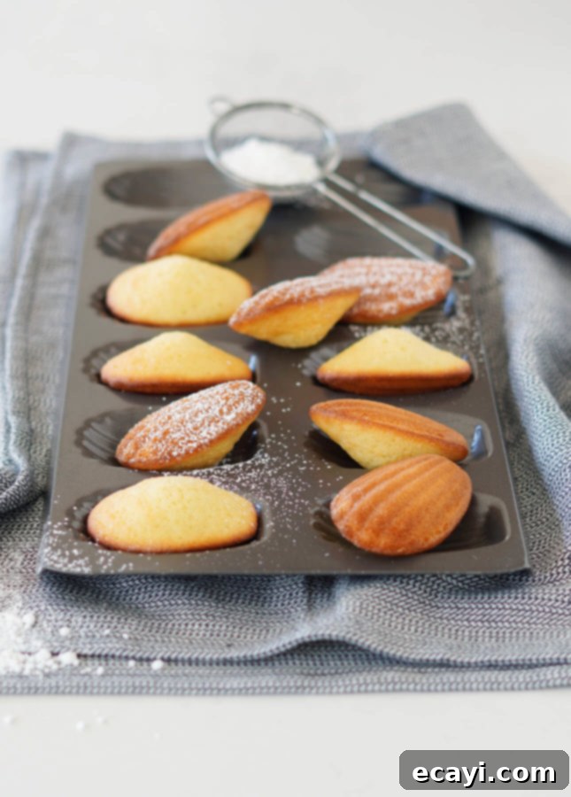 Your Step-by-Step Guide to Classic Madeleines 2 How to Make Perfect Madeleines // FoodNouveau.com