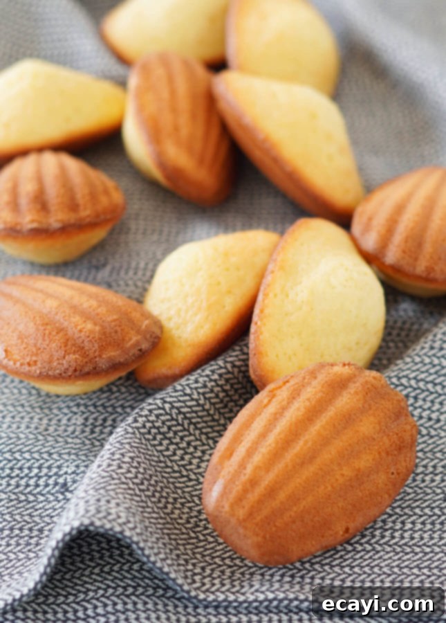Your Step-by-Step Guide to Classic Madeleines 3 Classic Madeleines // FoodNouveau.com