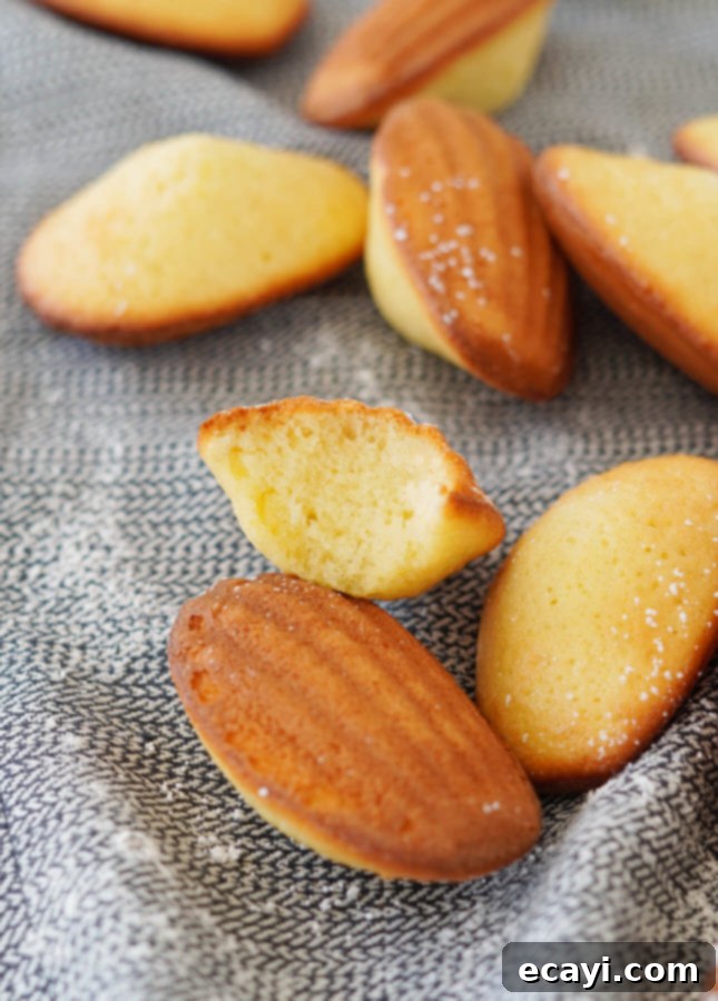 Your Step-by-Step Guide to Classic Madeleines 5 Classic Madeleines // FoodNouveau.com