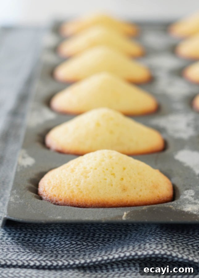 Your Step-by-Step Guide to Classic Madeleines 7 Perfect humps on classic madeleines // FoodNouveau.com