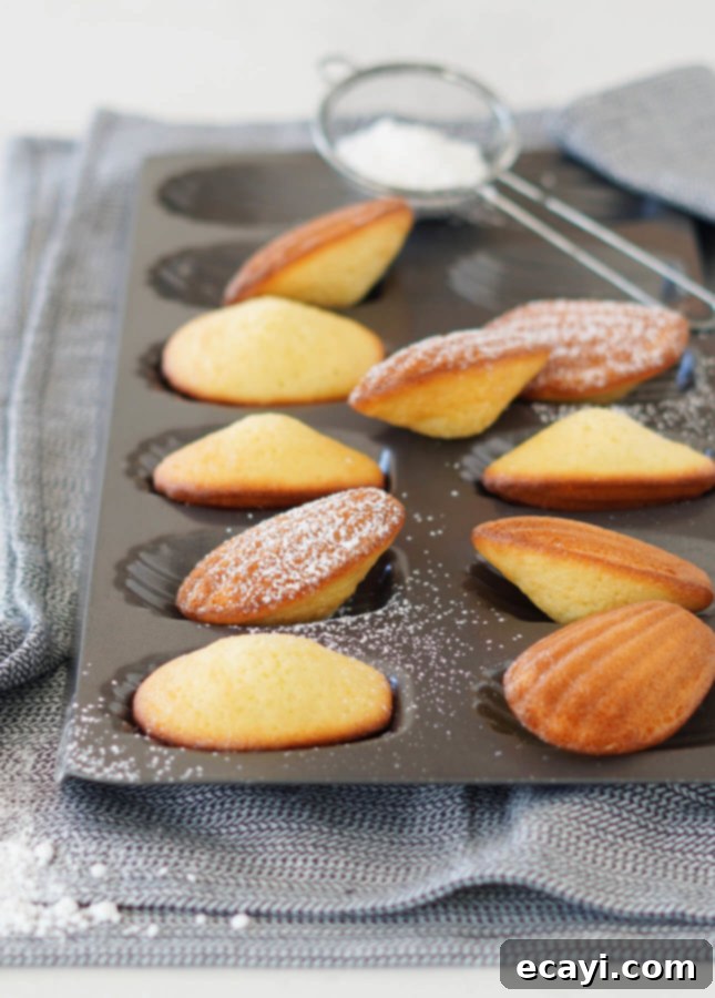 Your Step-by-Step Guide to Classic Madeleines 9 How to Make Perfect Madeleines // FoodNouveau.com