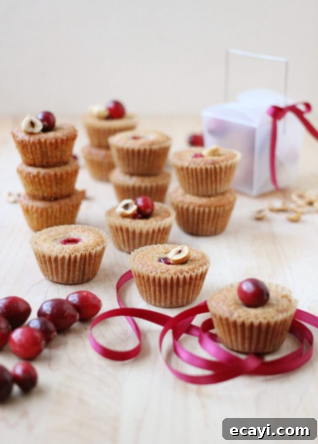Artisan Cranberry Hazelnut Financiers 2 Fresh Cranberry and Hazelnut Financiers: A delightful French mini cake recipe with a tart fruit twist.