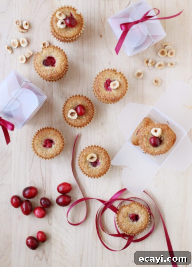 Artisan Cranberry Hazelnut Financiers 3 Close-up of freshly baked Cranberry Hazelnut Financiers, showcasing their golden edges and delicate texture.