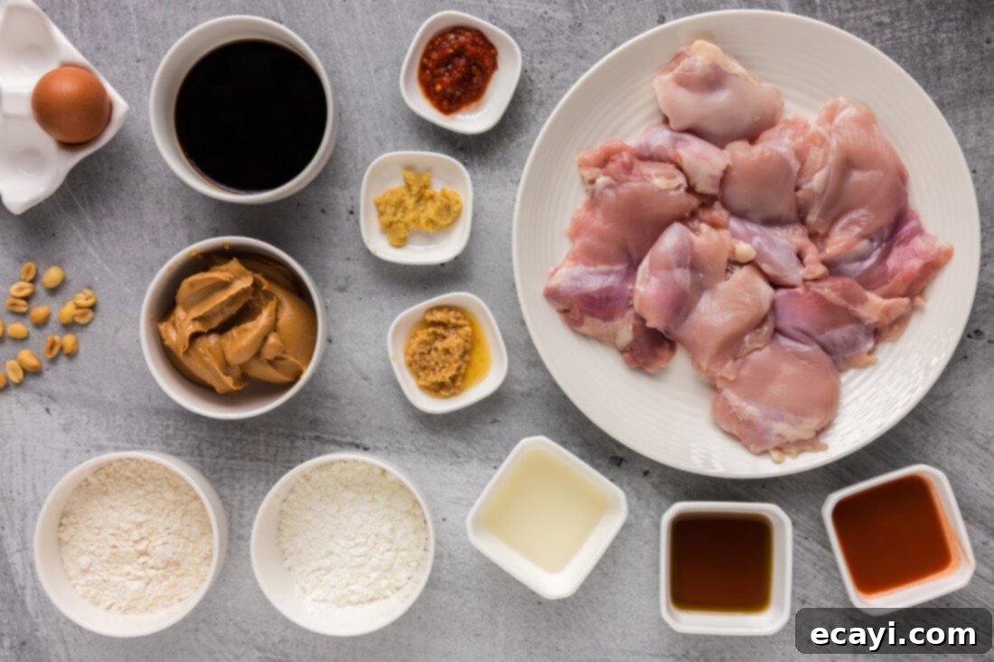 Creamy Peanut Butter Chicken 4 A flat lay of all the ingredients needed to make Peanut Butter Chicken, neatly arranged