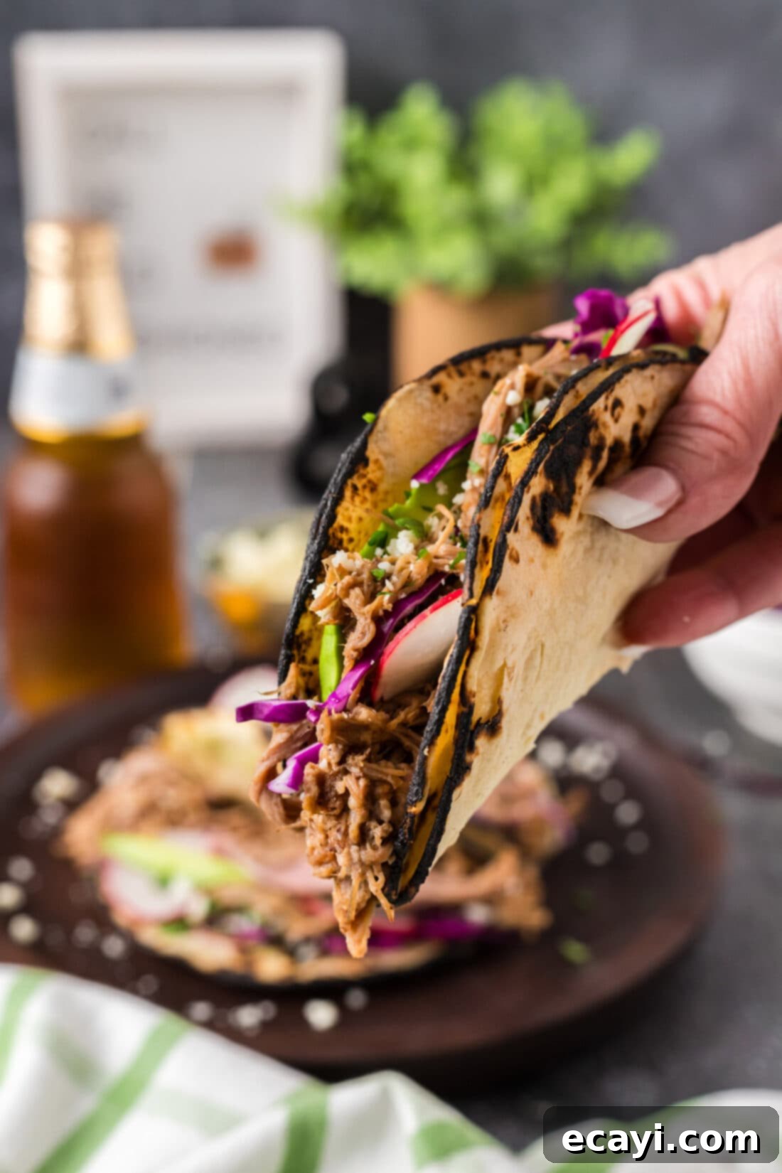 Epic Pulled Pork Tacos 3 Hand holding up a Pulled Pork Taco