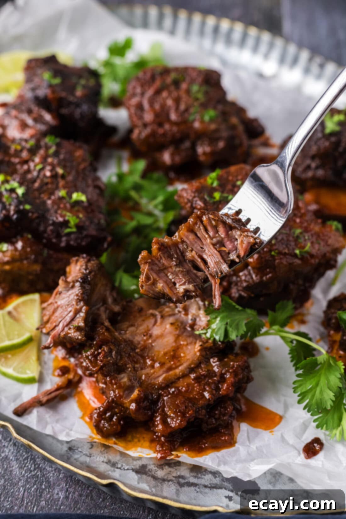 Fiesta Spice Blend 7 Mexican Short Ribs made using Mexican Seasoning