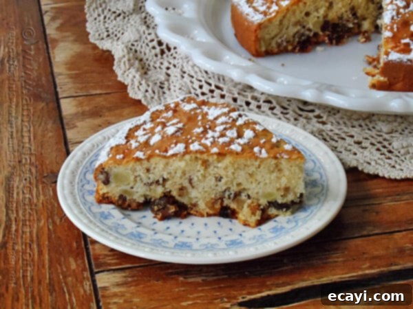 Classic Merryfield Apple Cake 6 A perfectly sliced piece of Merryfield apple cake, showcasing its moist texture and studded with apples, nuts, and raisins, presented on a charming white and blue plate.