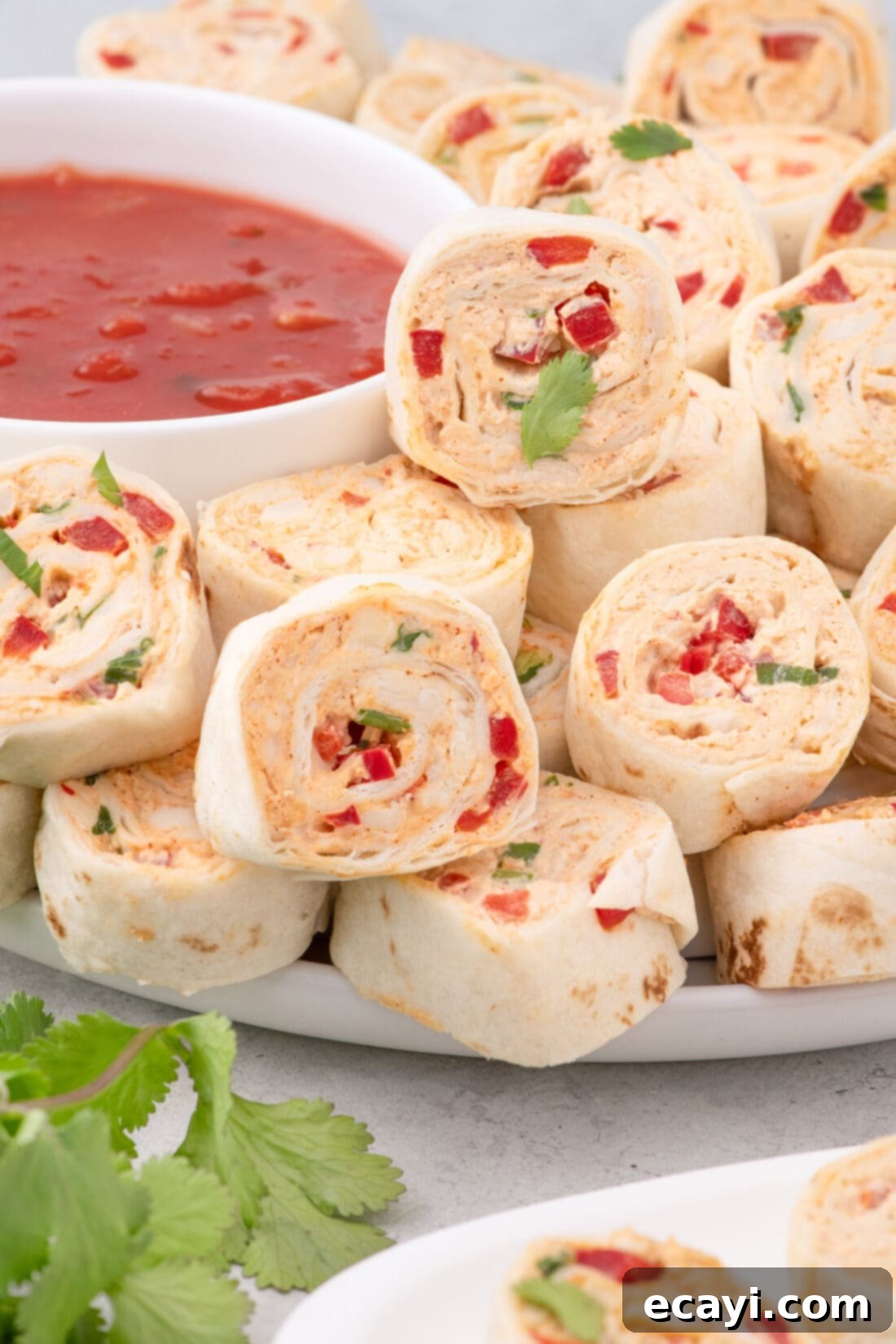 Southwest Swirls 2 Mexican Pinwheels on a plate with salsa in a bowl