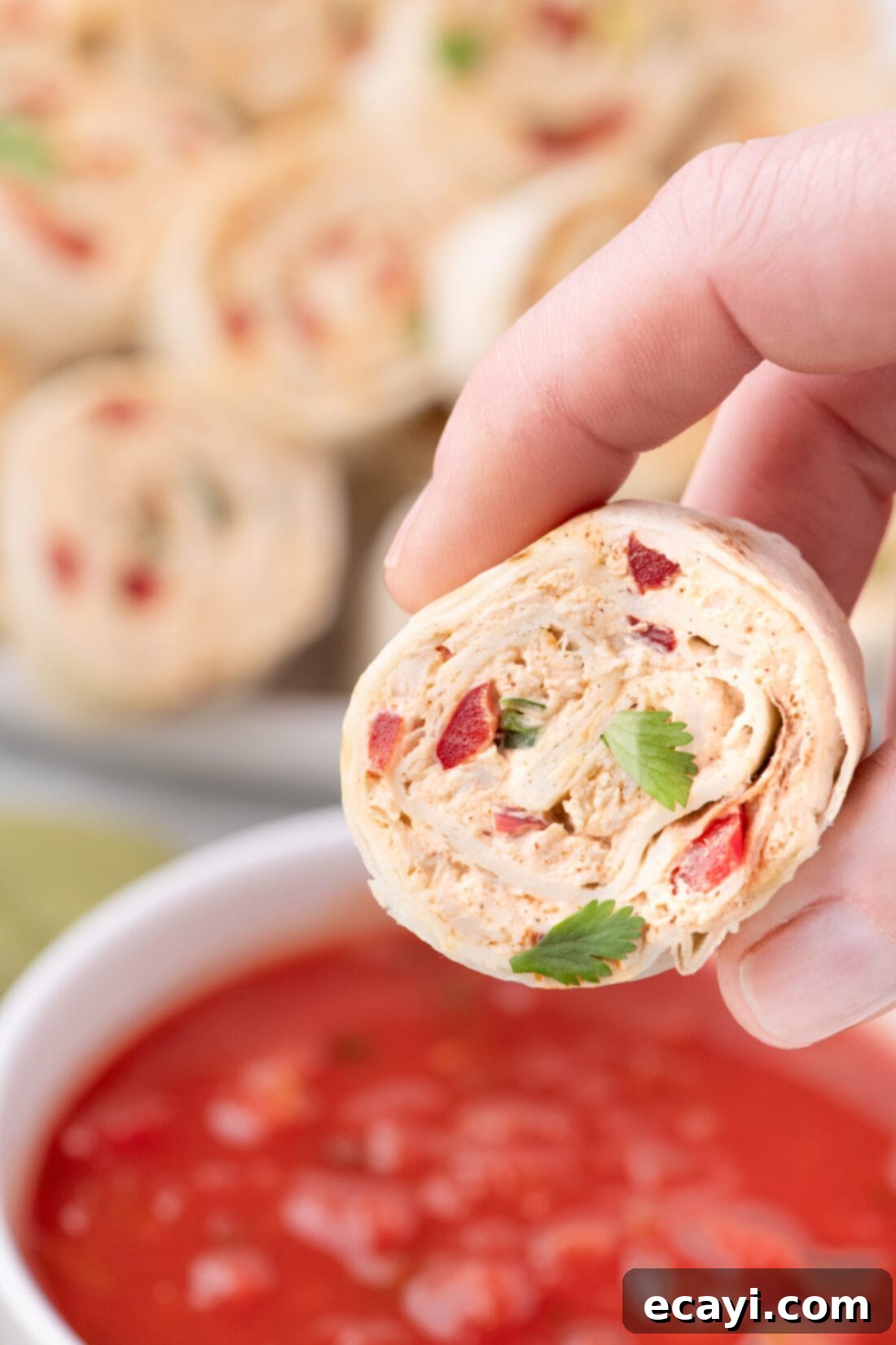 Southwest Swirls 14 Hand holding a Mexican Pinwheel above a bowl of salsa