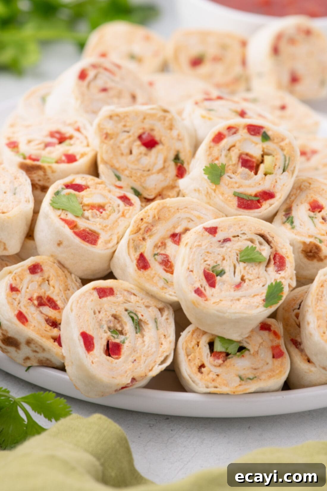 Southwest Swirls 3 Close up photo of Mexican Pinwheels on a plate